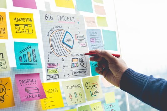 Project Management Consultants