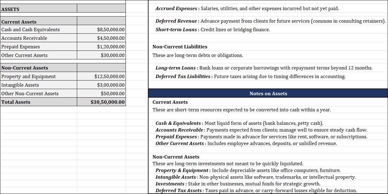 Balance Sheet Template For Consulting Company Free Download