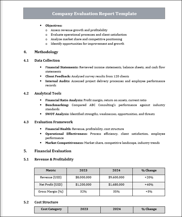 Company Evaluation Report Template Free Download