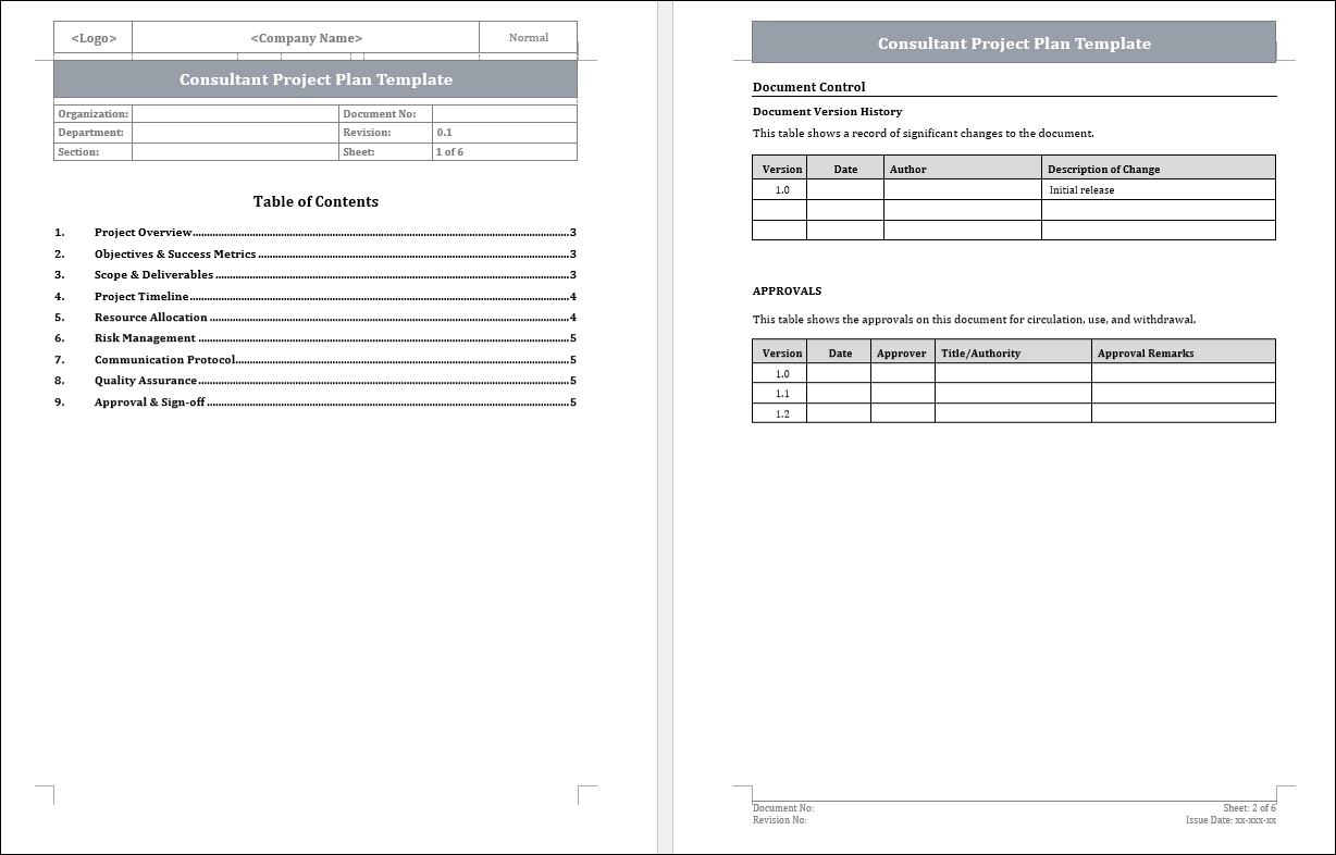 Consultant Project Plan Template