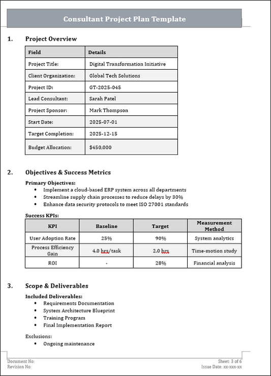 Consultant Project Plan Template