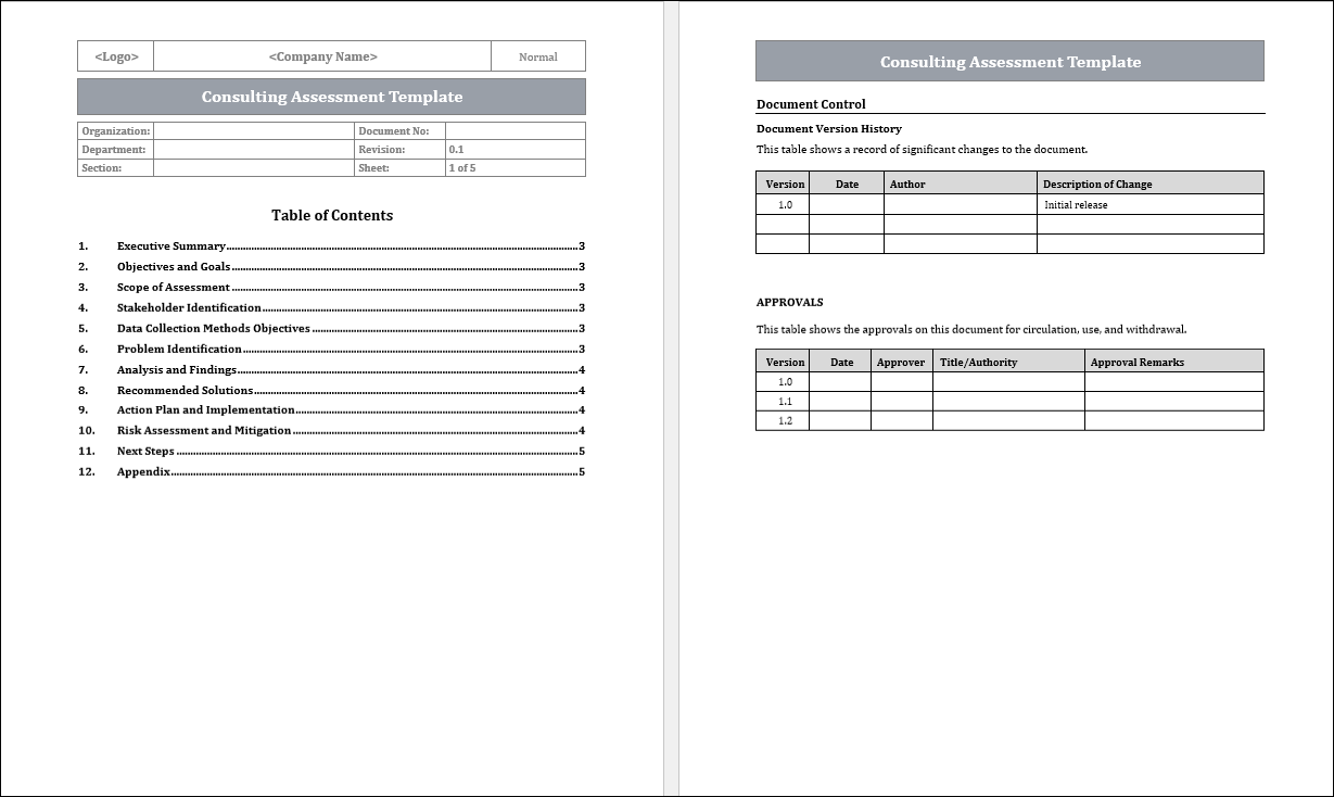 Consulting Assessment Template Free Download