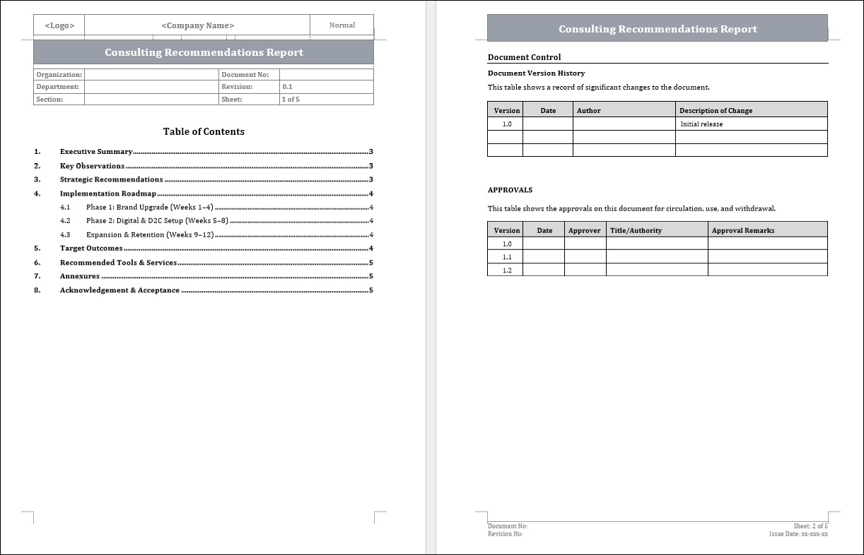 Consulting Recommendations Report