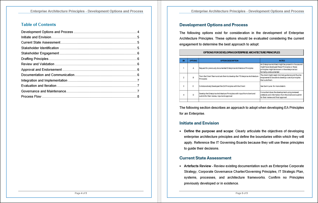 Enterprise Architecture Principles-Development Options and Process Template