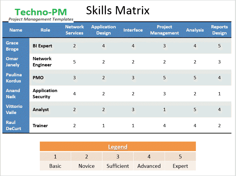 IT Skills Matrix Template