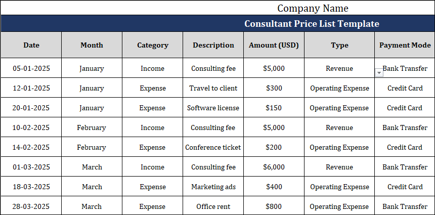 Consultant Profit and Loss Statement Template Free Download