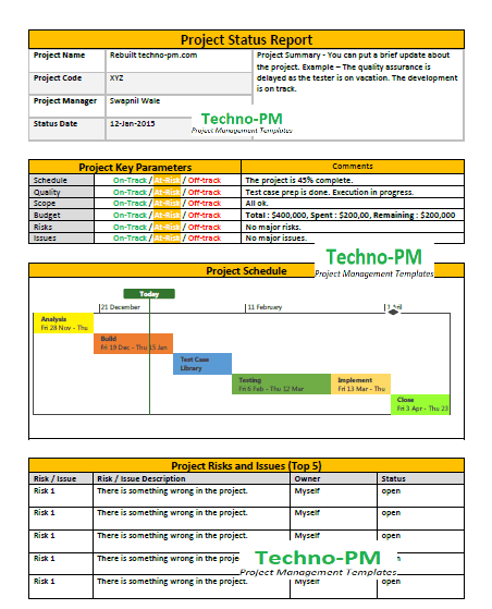 Project Status Report