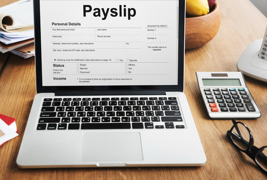 Consultant Payslip Template Free Download