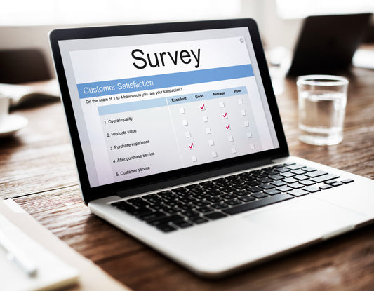 Consultant Survey Template Free Download