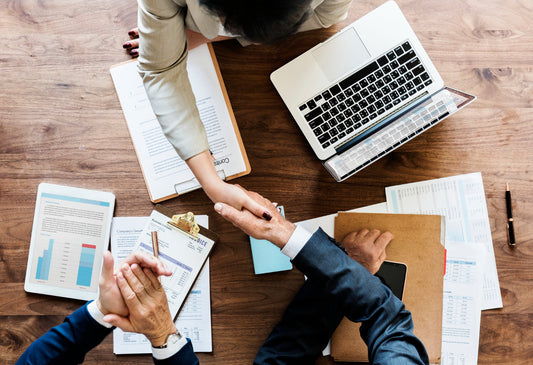 Consultant CV Template
