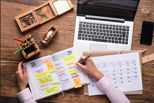 Consultant Work Plan Template