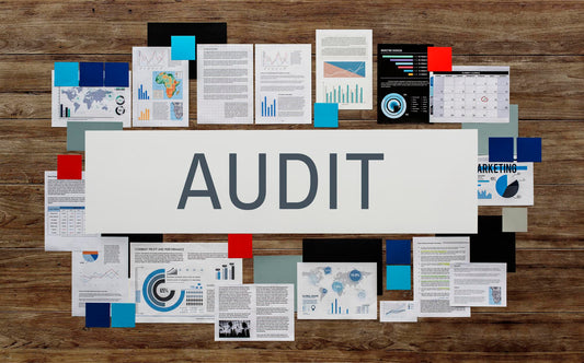 Auditing Firm Proposal Template Free Download 