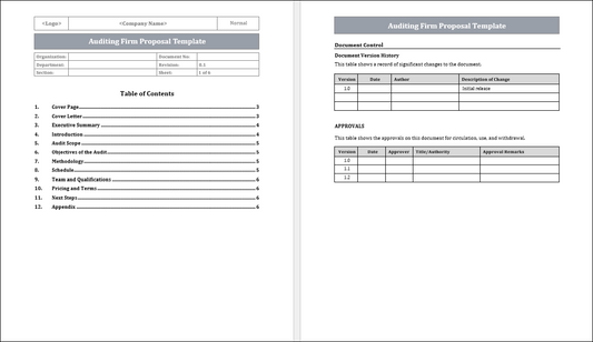 Auditing Firm Proposal Template Free Download