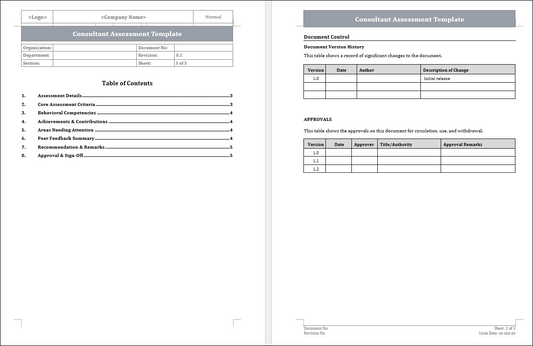Consultant Assessment Template 