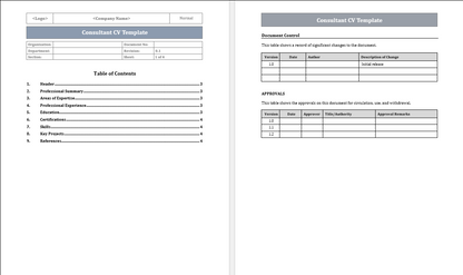 Consultant CV Template Free Download