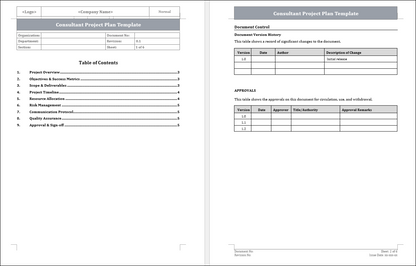 Consultant Project Plan Template 