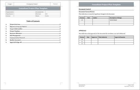 Consultant Project Plan Template 