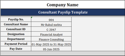Consultant Payslip Template