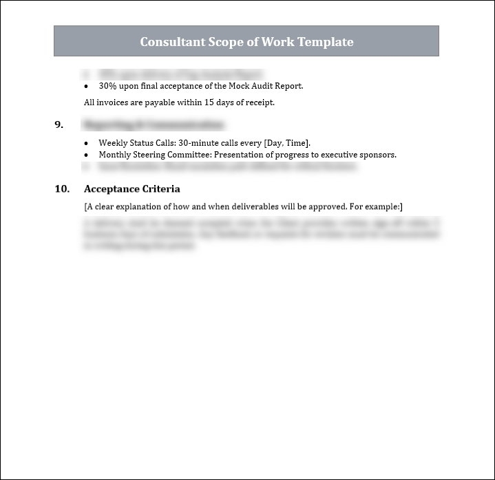 Consultant Scope of Work Template Free Download