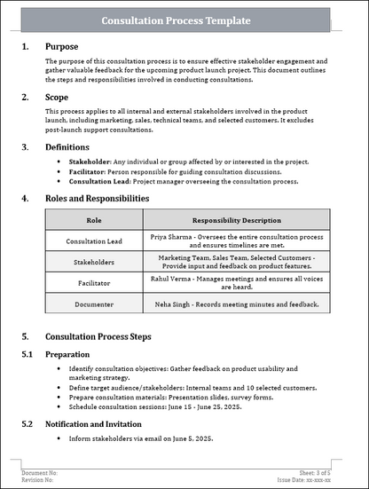 Consultation Process Template Free Download 