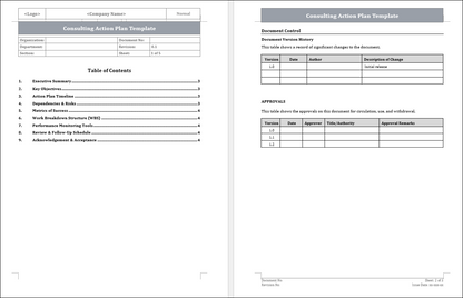 Consulting Action Plan Template
