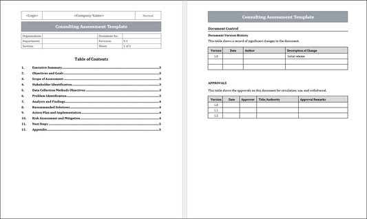 Consulting Assessment Template Free Download