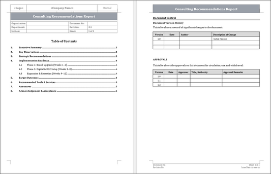 Consulting Recommendations Report

