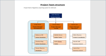 Project Team Structure Template