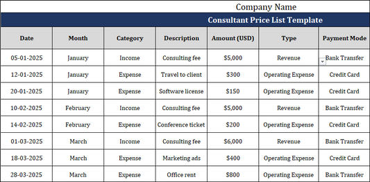 Consultant Profit and Loss Statement Template Free Download