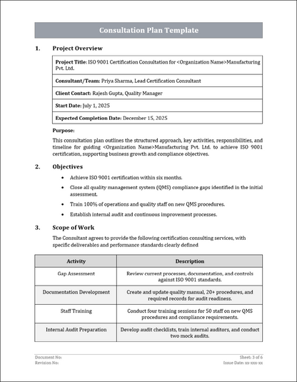 Consultation Plan Template Free Download